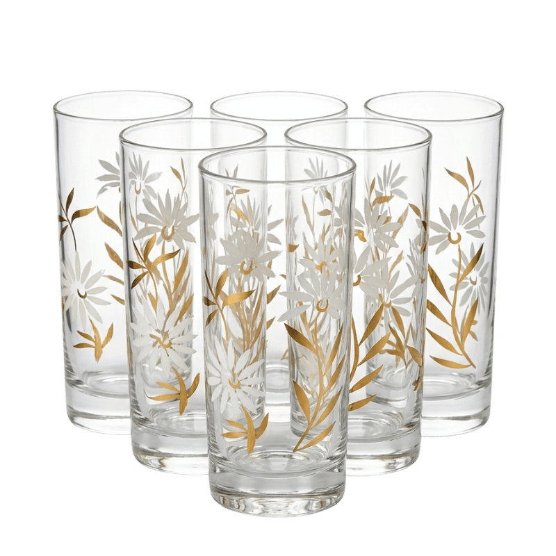Romana 6PC Glass Set